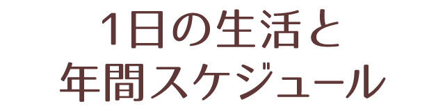 1日の生活と年間スケジュール